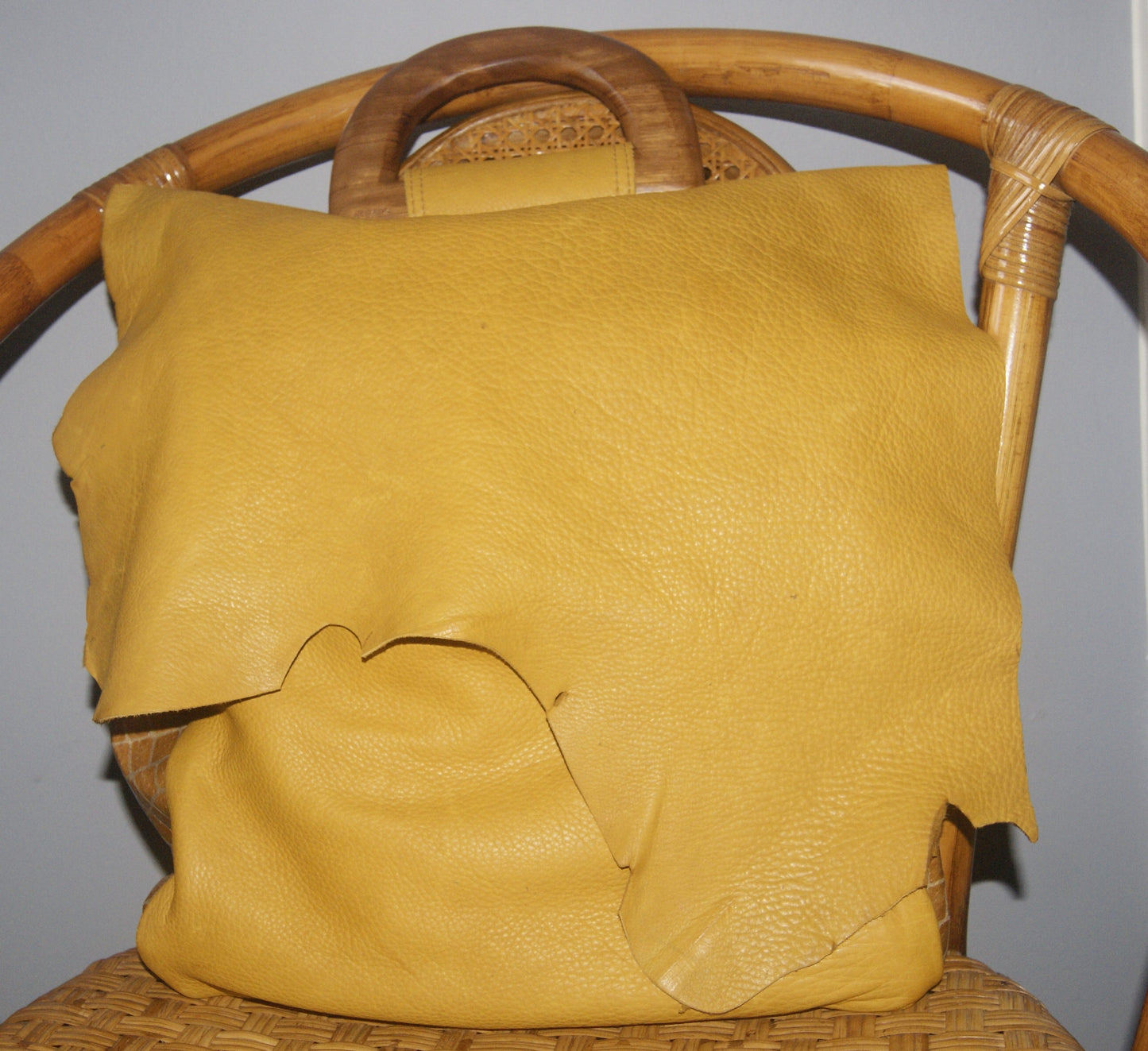 Elizabeth Carter Brooks -handbag