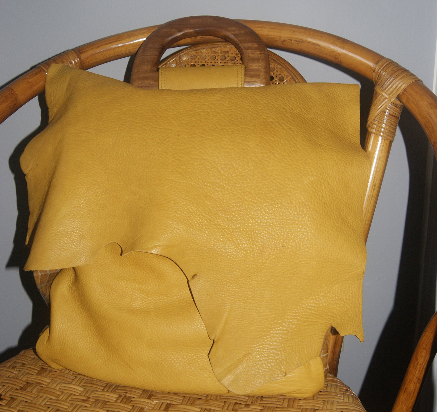 Elizabeth Carter Brooks -handbag